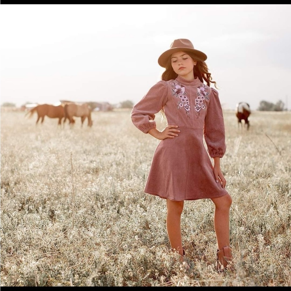 Joyfolie Mia Joy Pink Corduroy Floral Embroidered Girls Dress